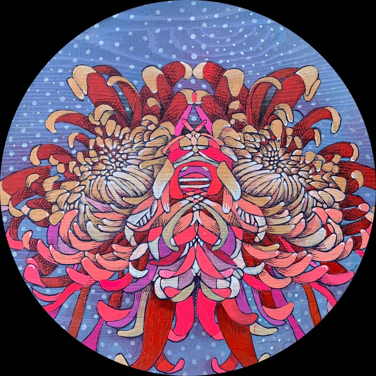Chrysanthemum ii by Kristie Spotswood 