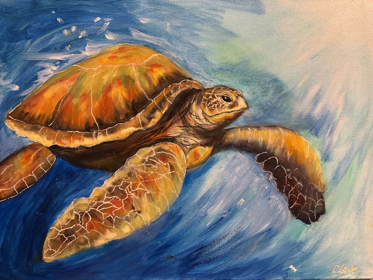 Sea Turtle by Pat Love, Image 2.