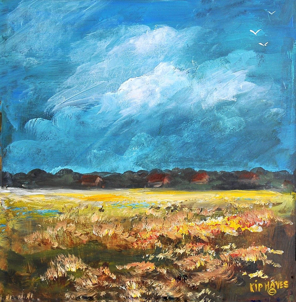 Open Heavens by Larry "Kip" Hayes 