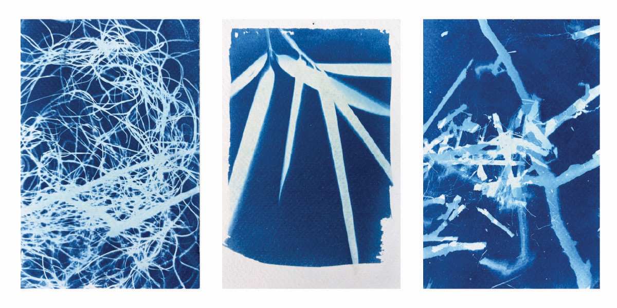 Fragments by Erin Gray, Image 1.