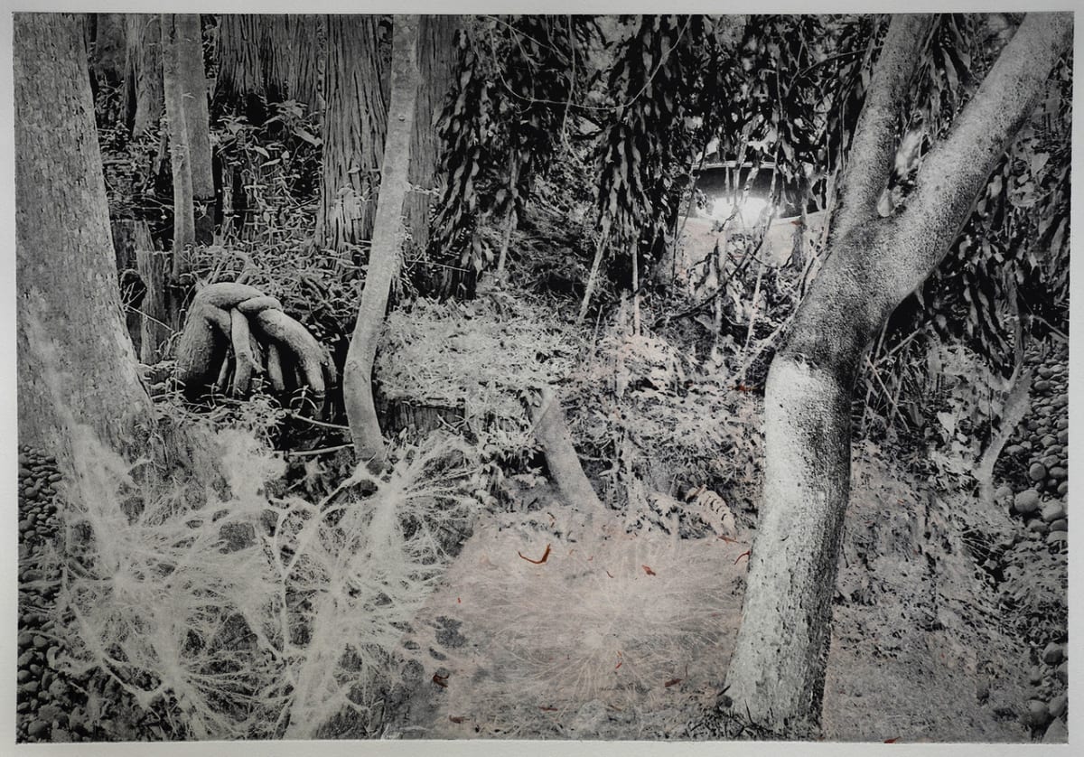 Pink Sensation by Lynda Frese 