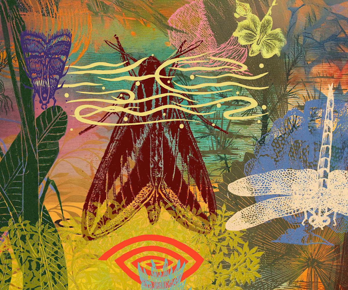 Silent Wings by Francis Pavy 