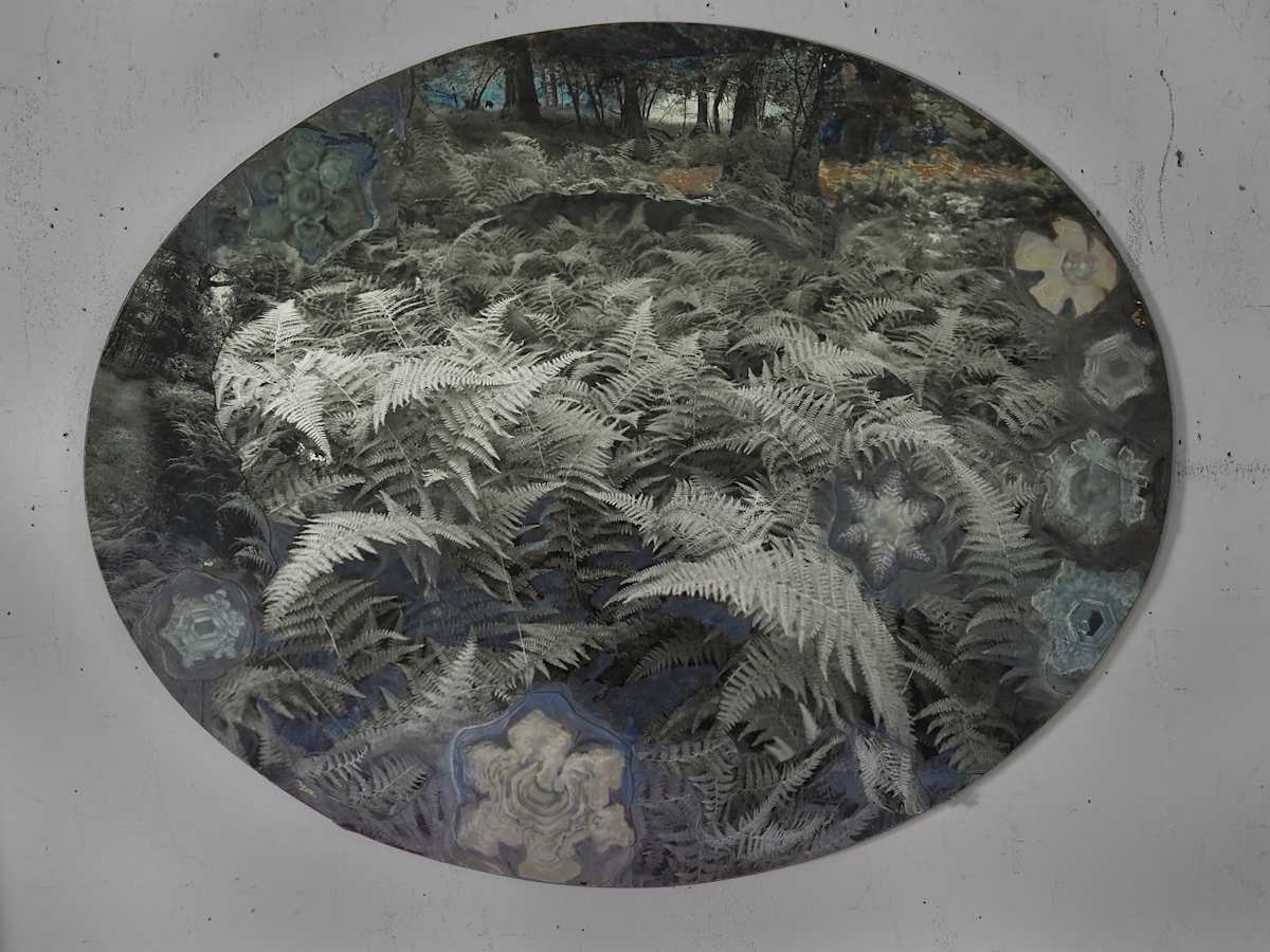 Water Crystals by Lynda Frese, Image 1.