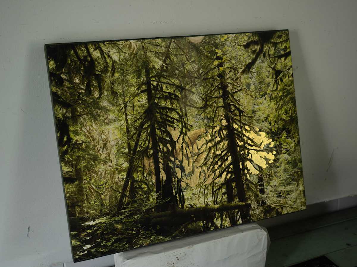 Gold UFO by Lynda Frese, Image 1.