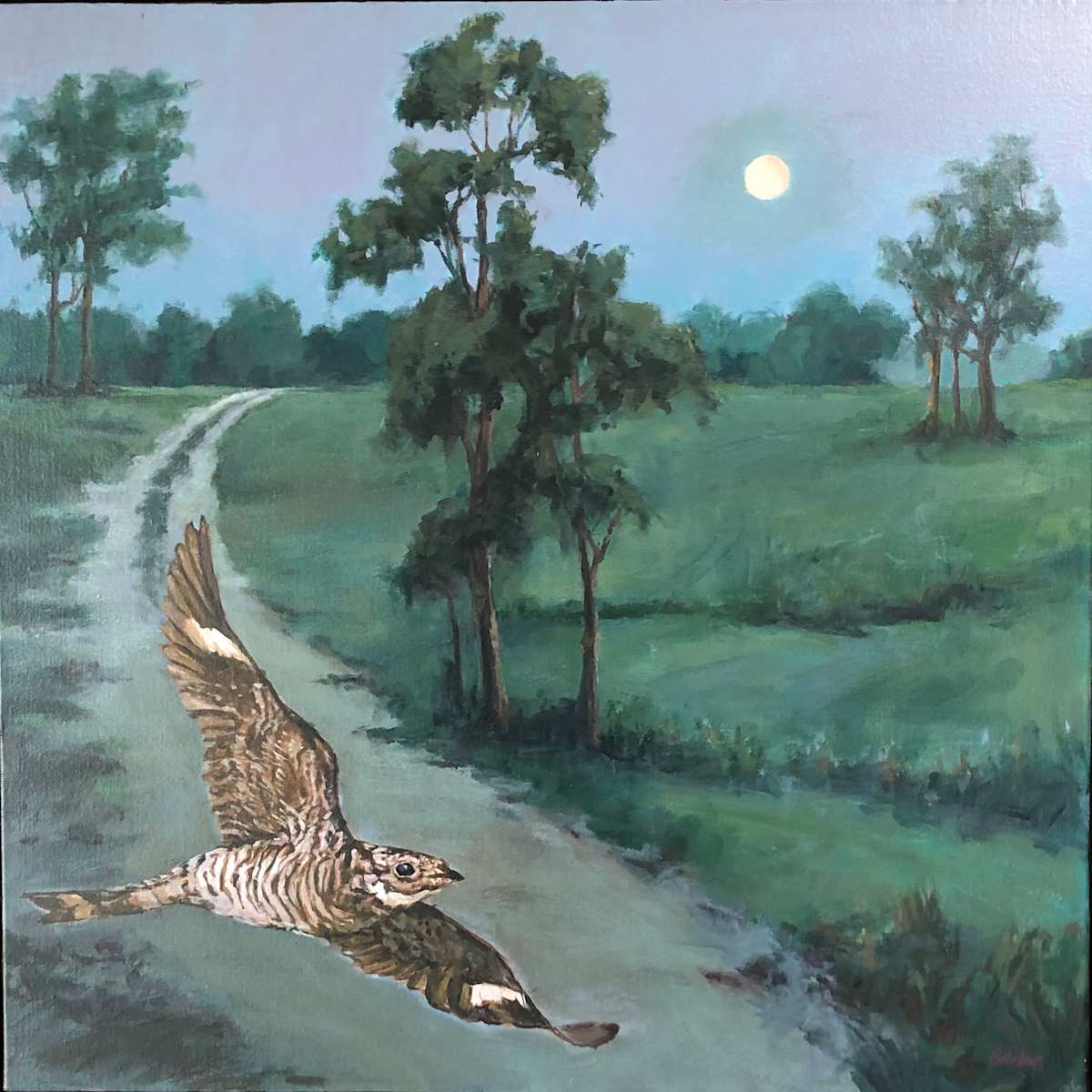 Night Bird Flying by Doug Nehrbass 