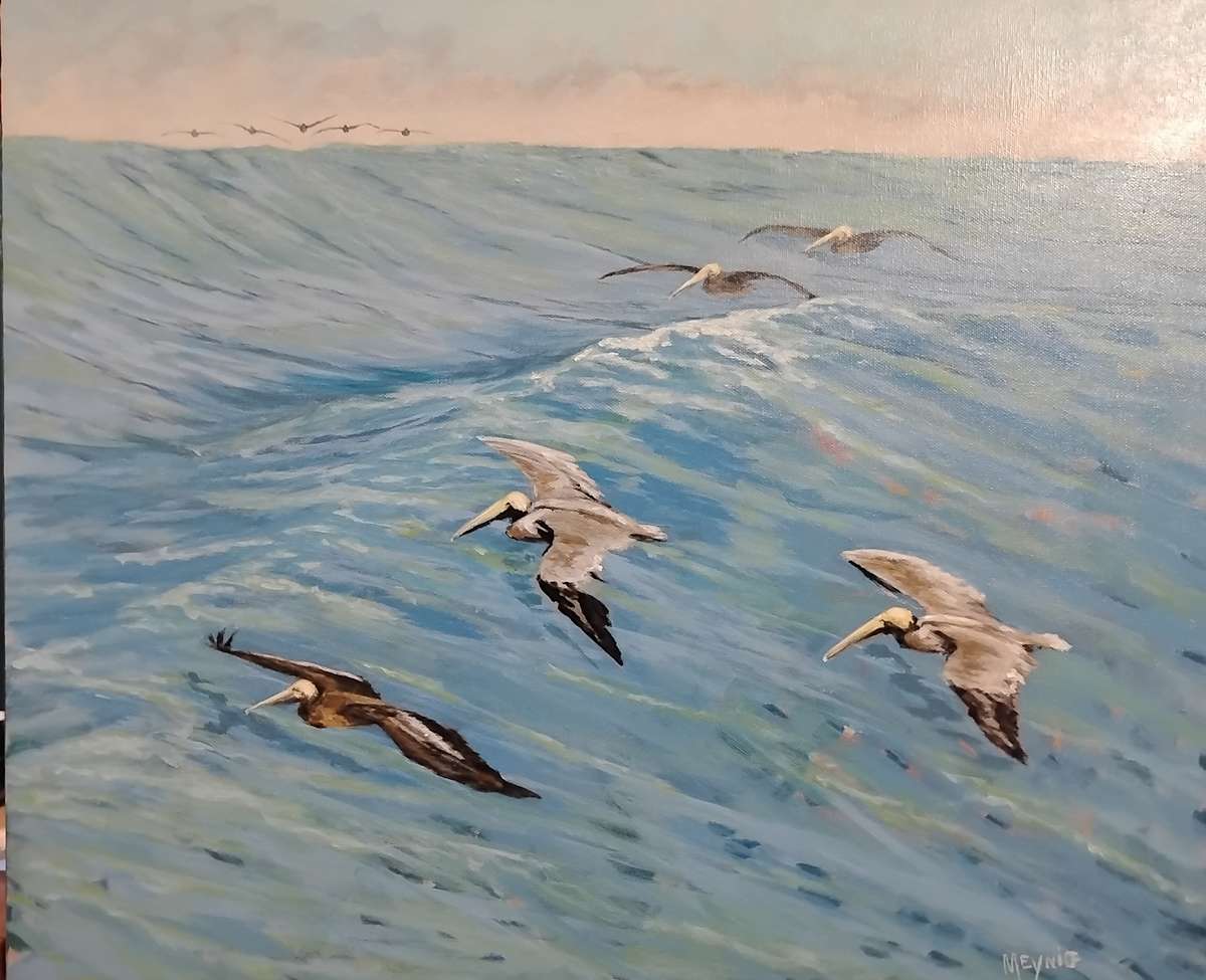 Pelican Squadron by Marne Meynig, Image 1.