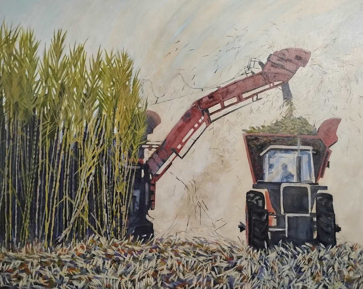 Cuttin Cane by Marne Meynig, Image 1.