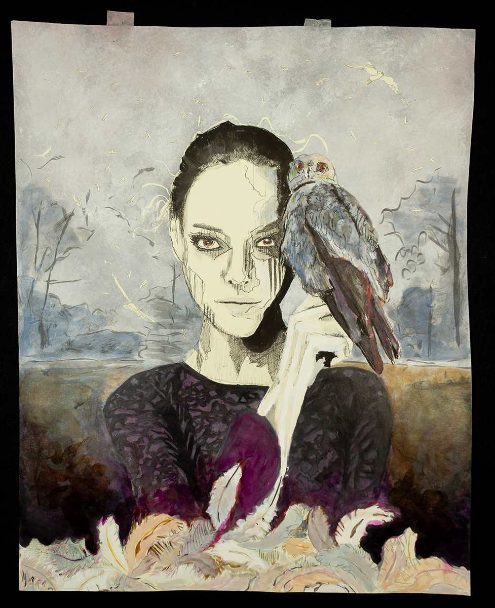Ictinus by Susan David, Image 1.