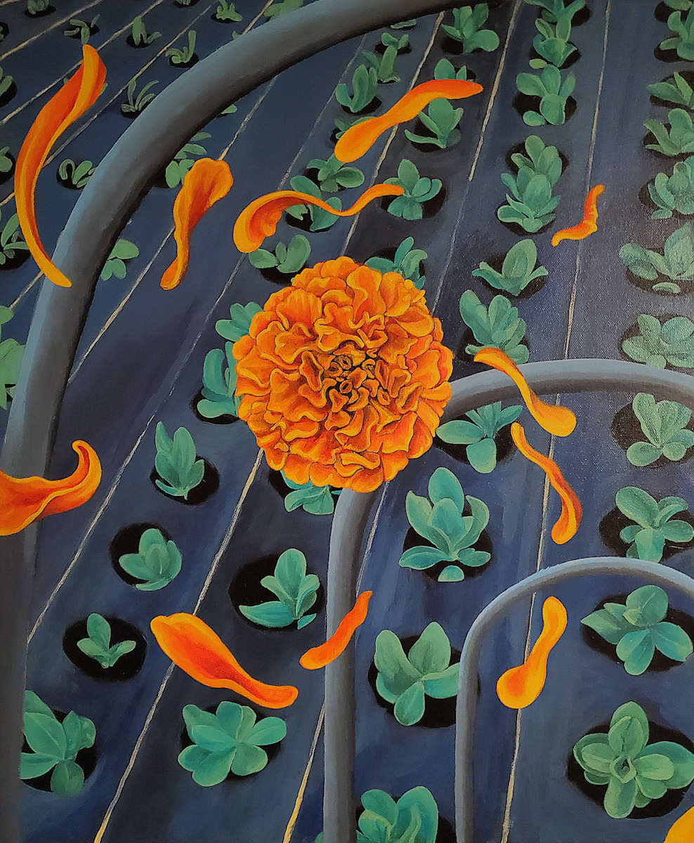 Marigold Blaze by Chase Julien, Image 1.