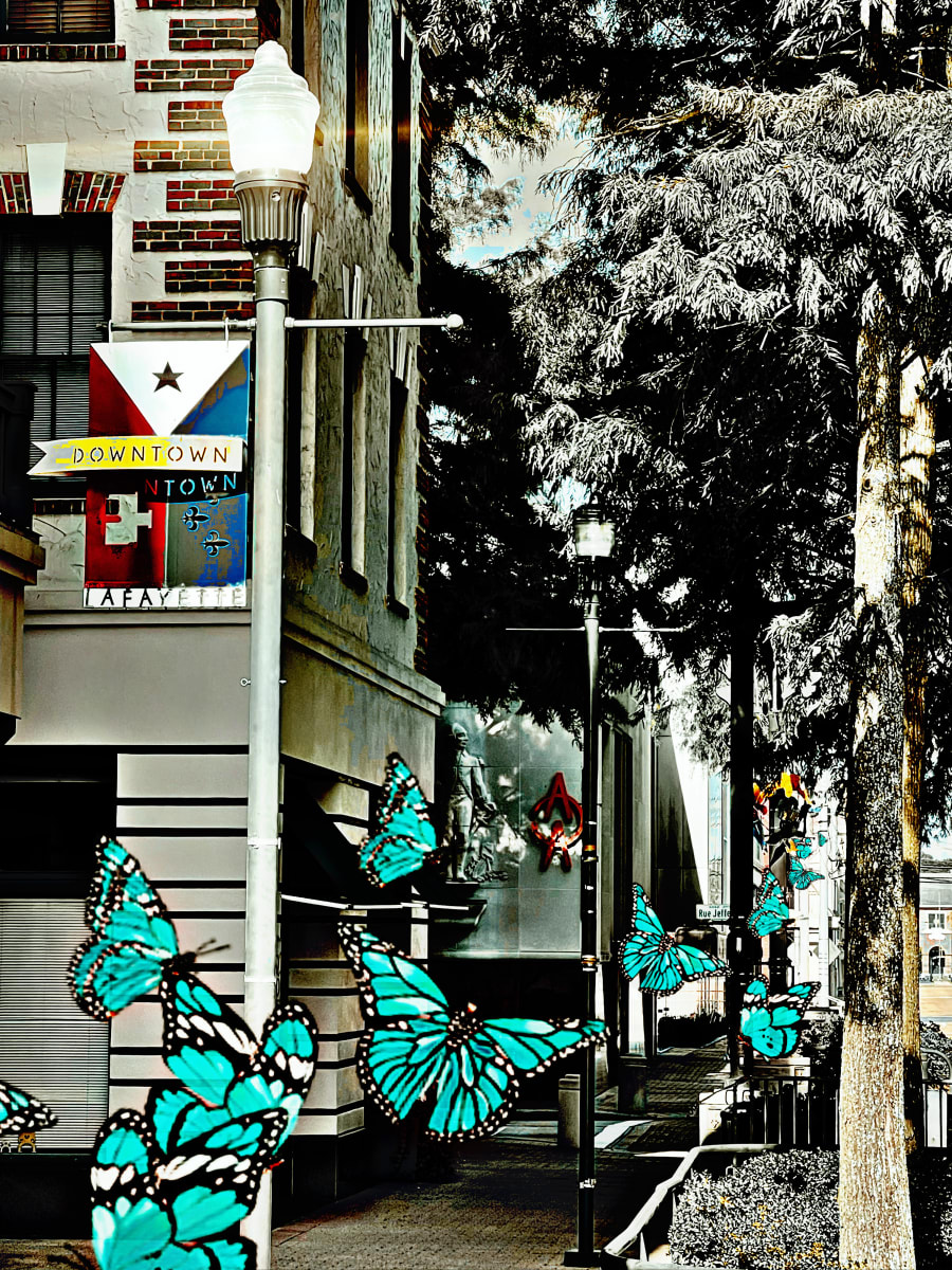 Butterfly Parade by Kelly Nelson 