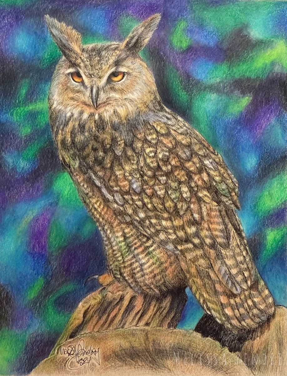 Mystical Owl by Melissa Pendrey, Image 7.