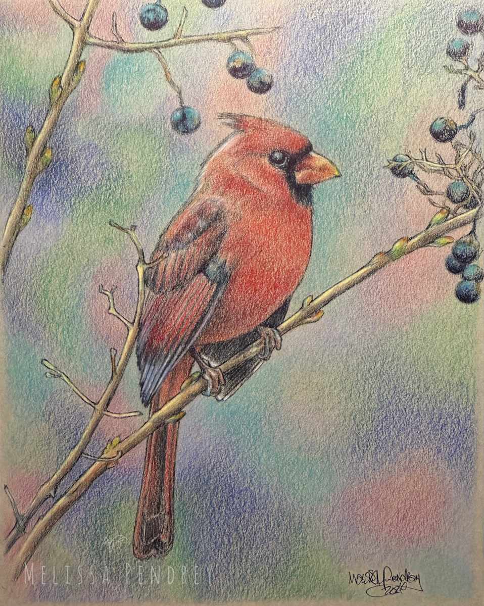 Red Cardinal by Melissa Pendrey, Image 2.