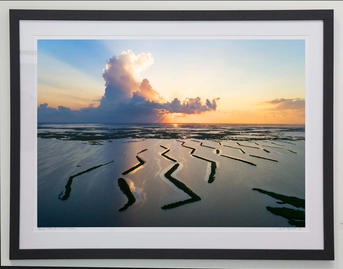 Marsh Scene near Houma by Philip Gould, Image 6.
