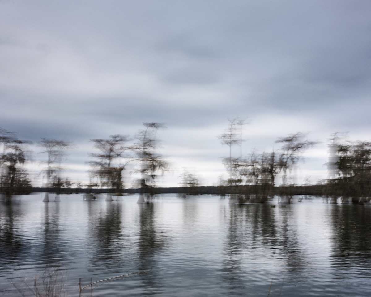 Ecotones III #495 by Gary Pilcher 