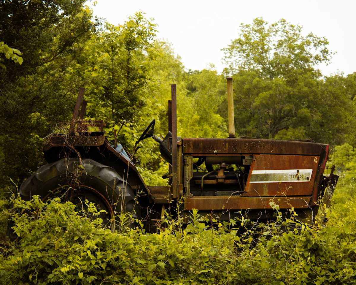 Left Behind by Gracie Ransonet 
