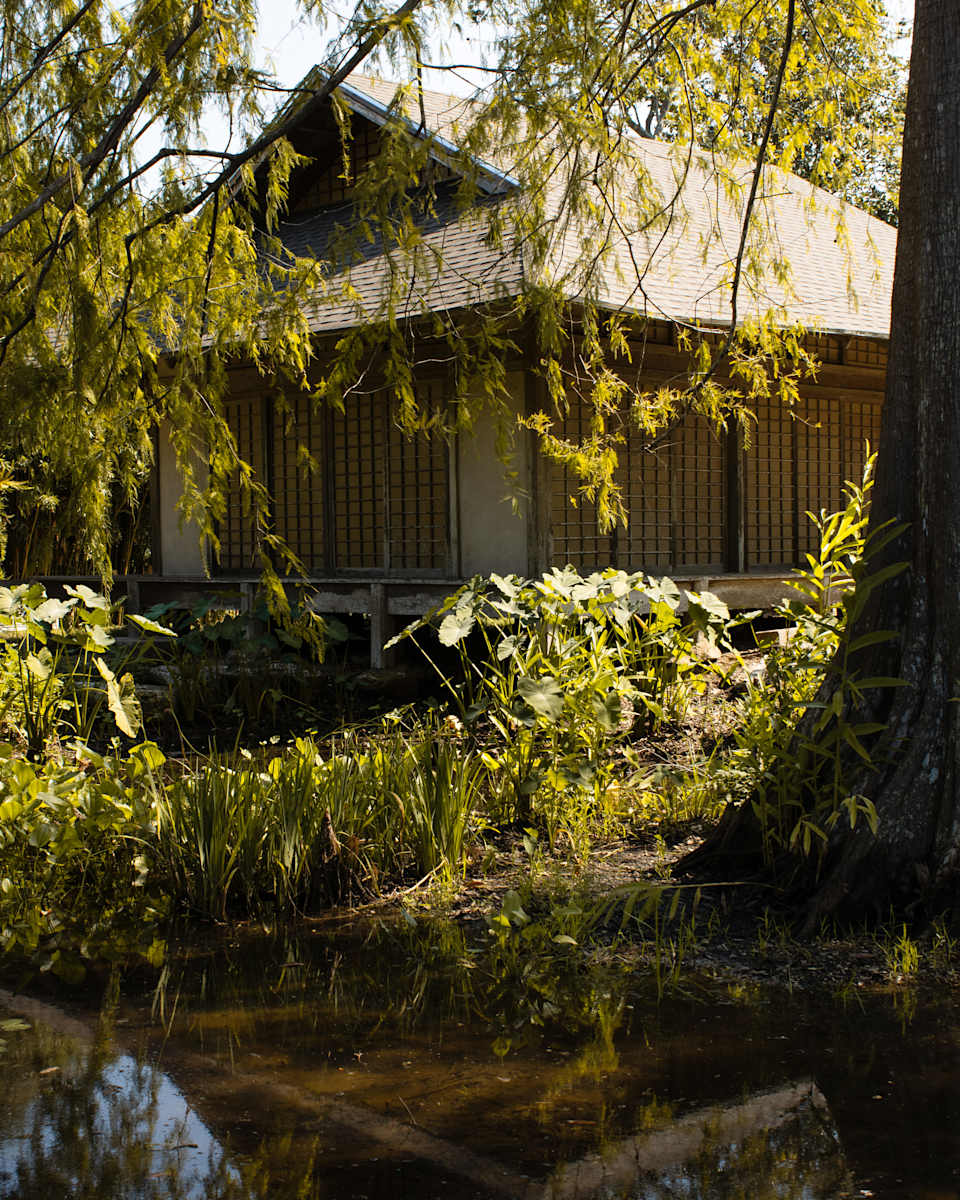 Tea House by Gracie Ransonet 