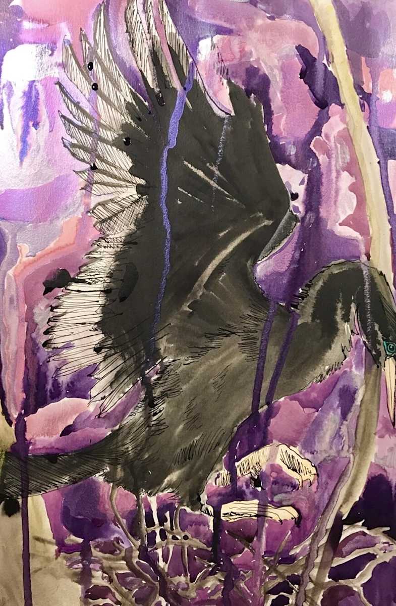 Anhinga at Dawn by Kelly Russo 