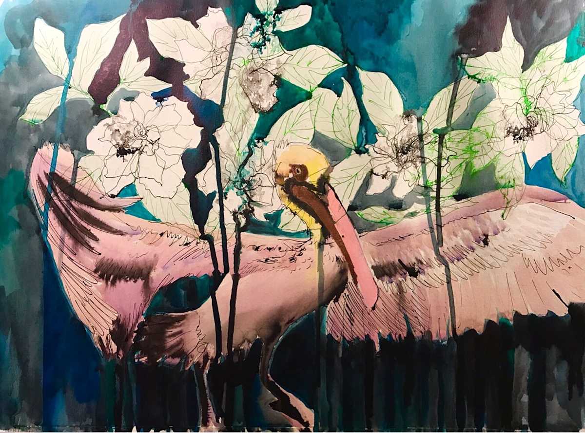 Pelican by Kelly Russo 