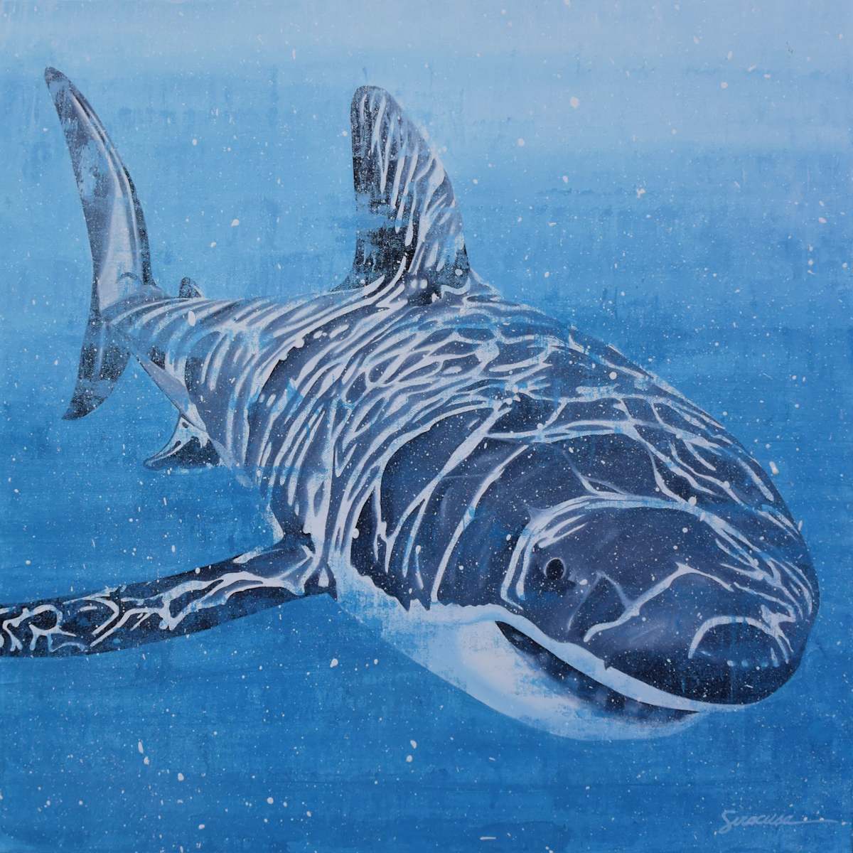 Great White Shark, Number 1 by Julie Siracusa, Image 2.