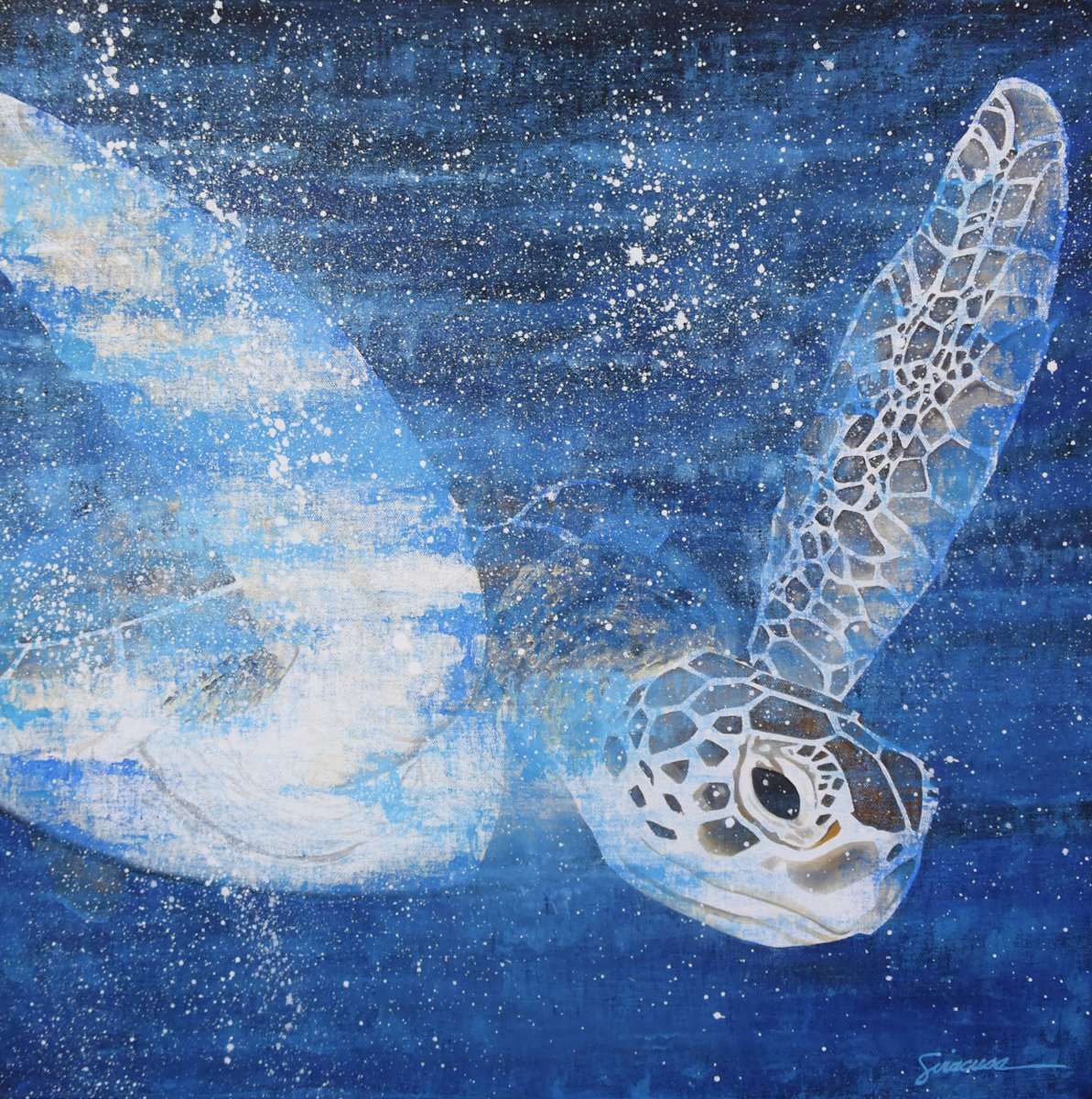 Green Sea Turtle, Number 6 by Julie Siracusa 
