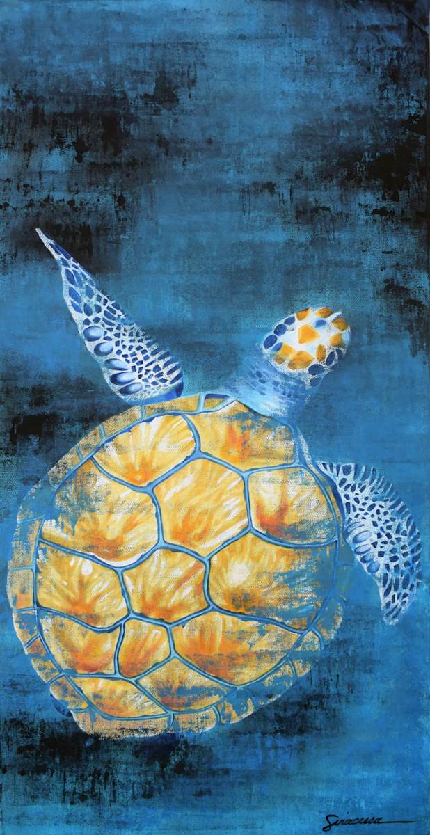 Green Sea Turtle, Number 7 by Julie Siracusa 