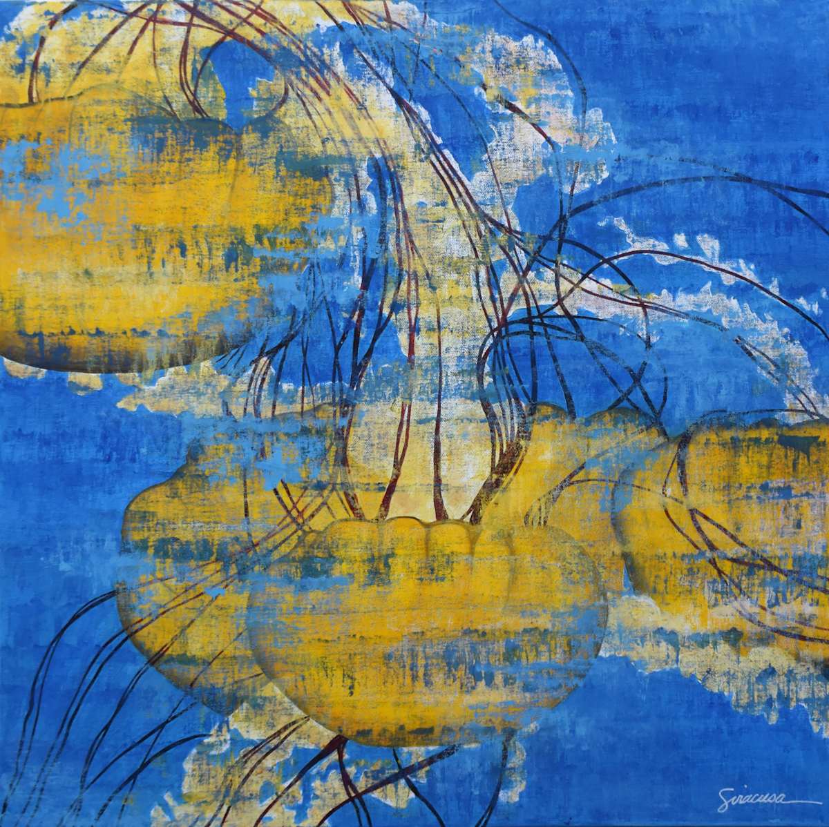 Jellyfish, Number 4 by Julie Siracusa 