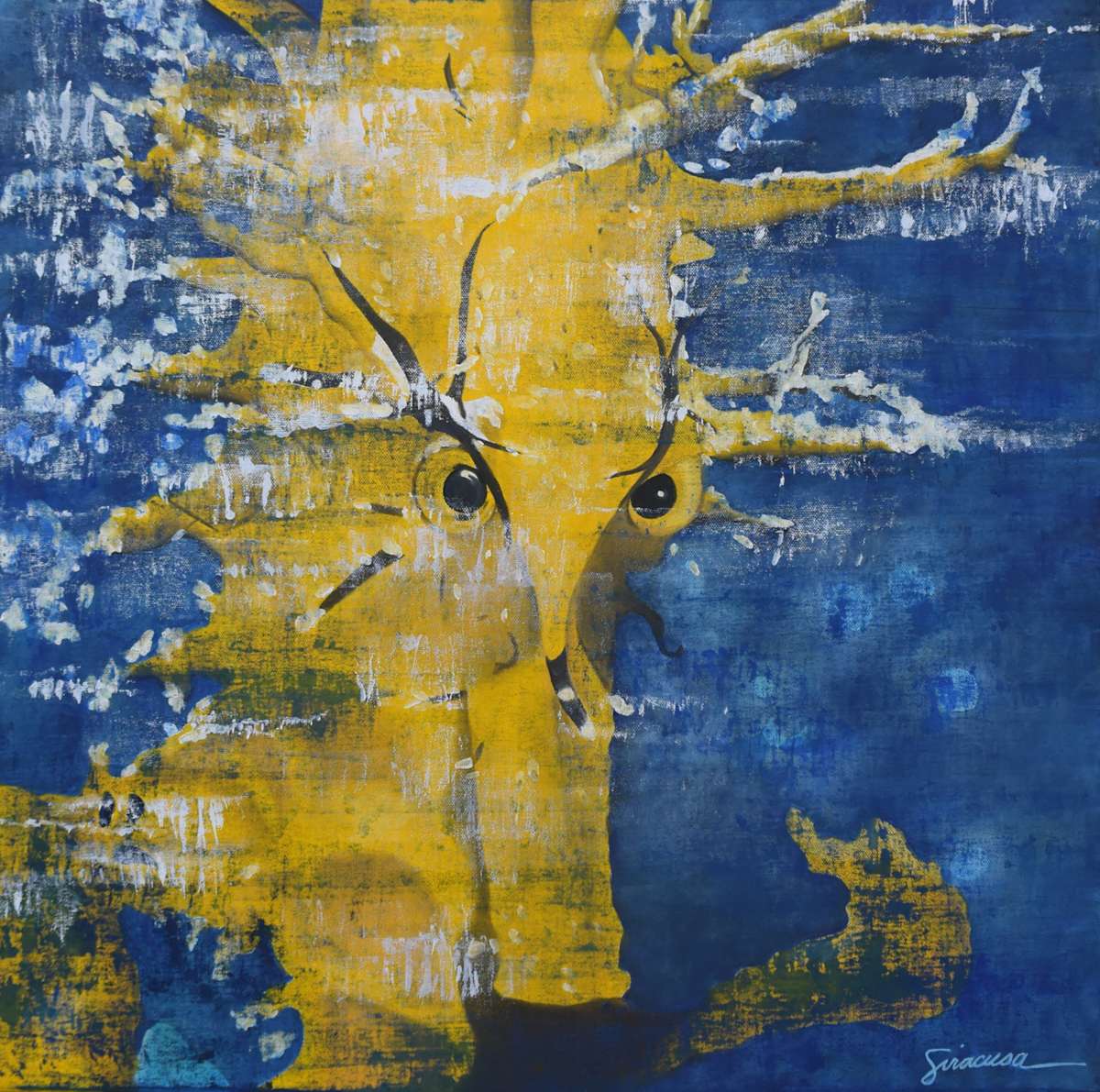 Seahorse, Number 6 by Julie Siracusa 