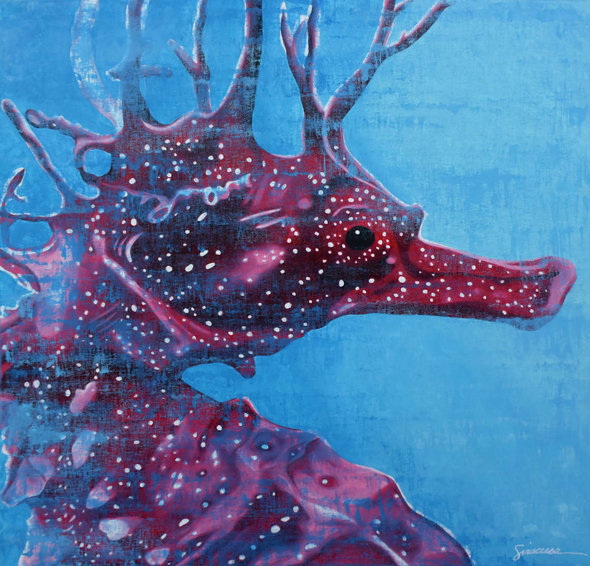 Seahorse, Number 7 by Julie Siracusa 