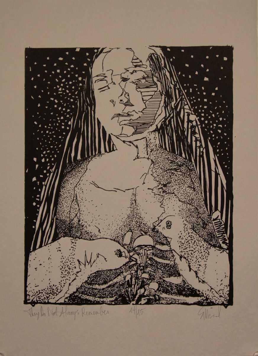 They Do Not Always Remember by Susan David, Image 1.