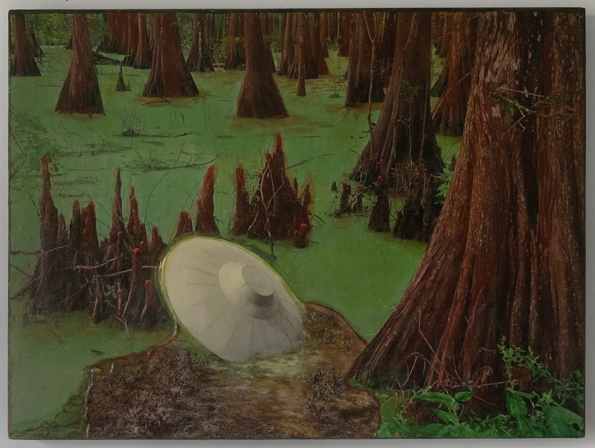 Visitor by Lynda Frese 