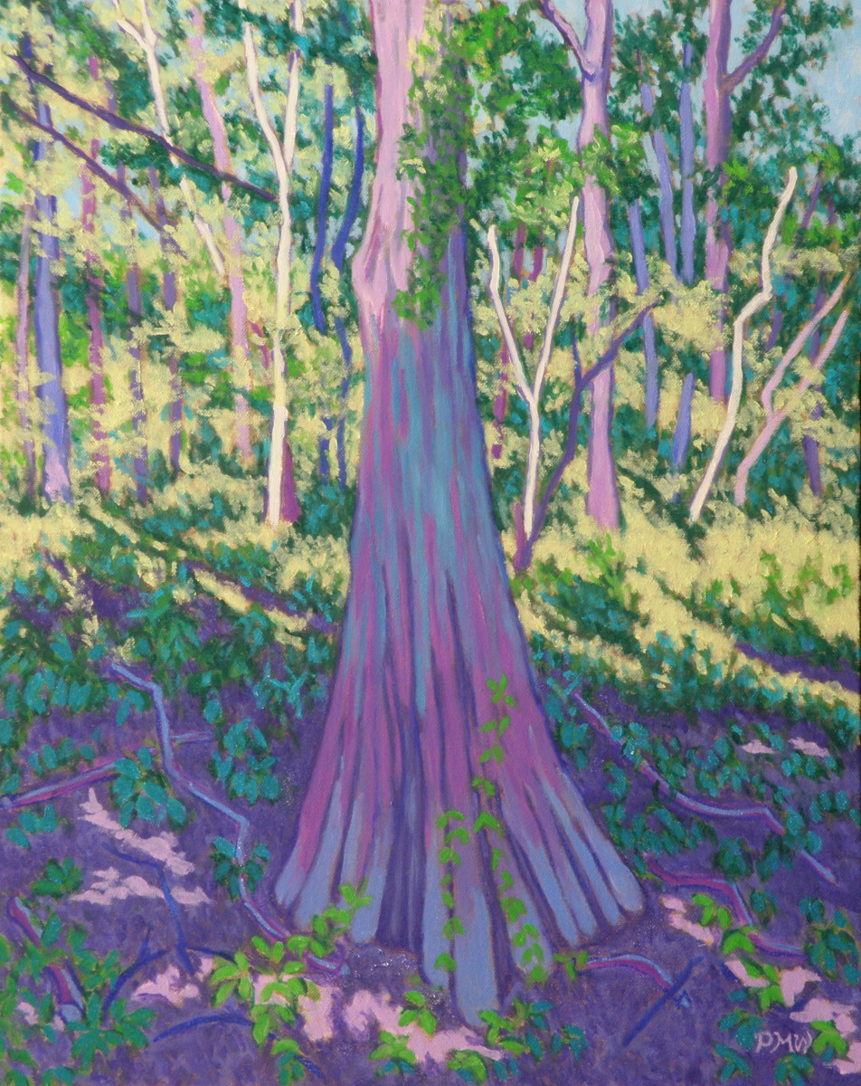 Cypress in Slanting Light by Peggy Walters 