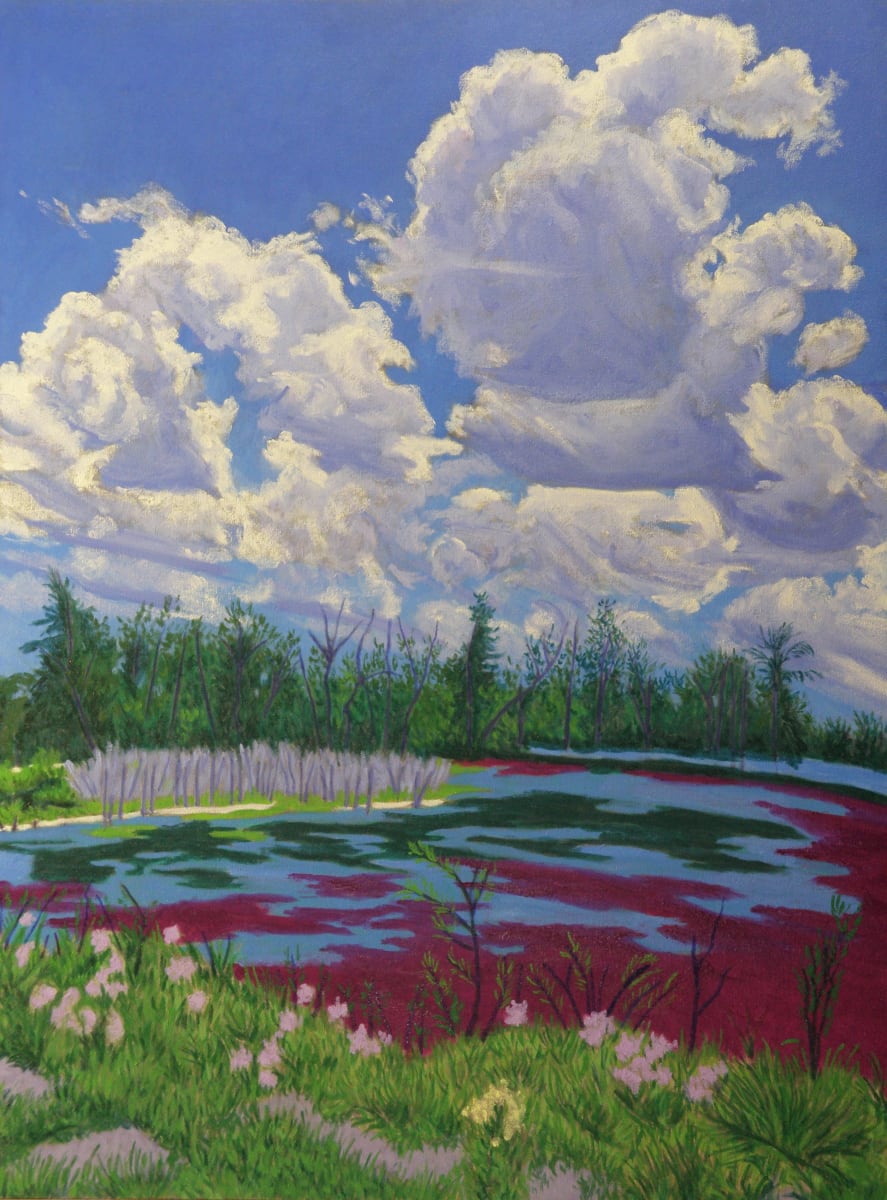 Red Tide by Peggy Walters, Image 1.