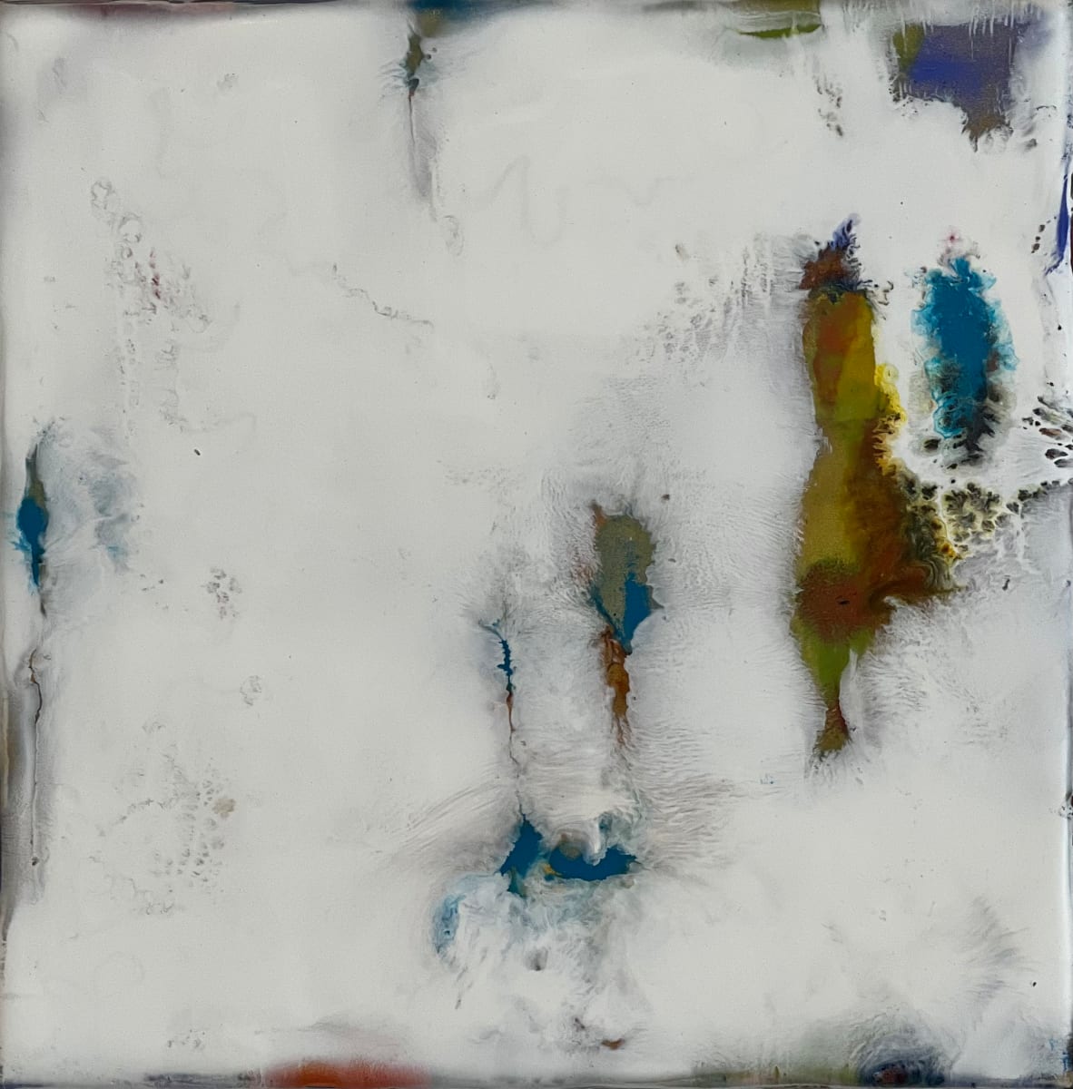 Emergence by Trudie Wolking 