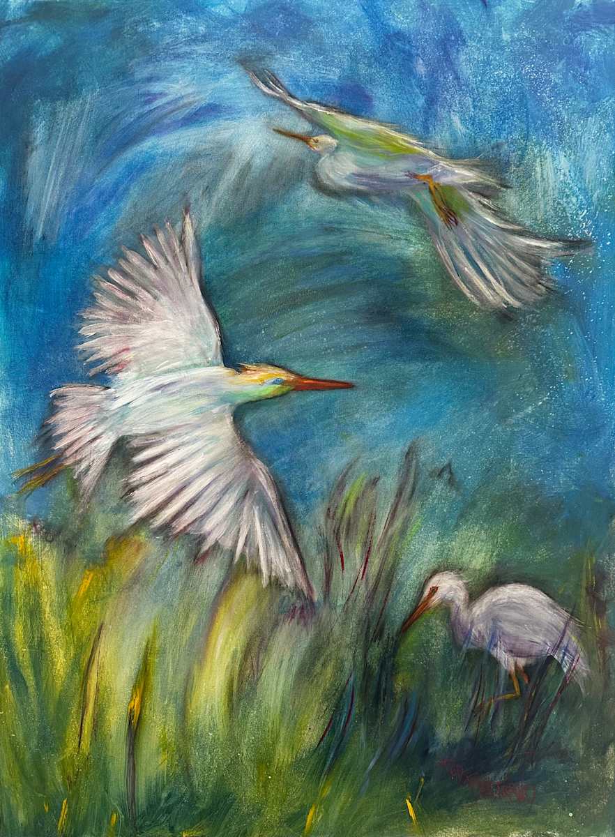 Egrets in Field by Ted Bertrand, Image 1.