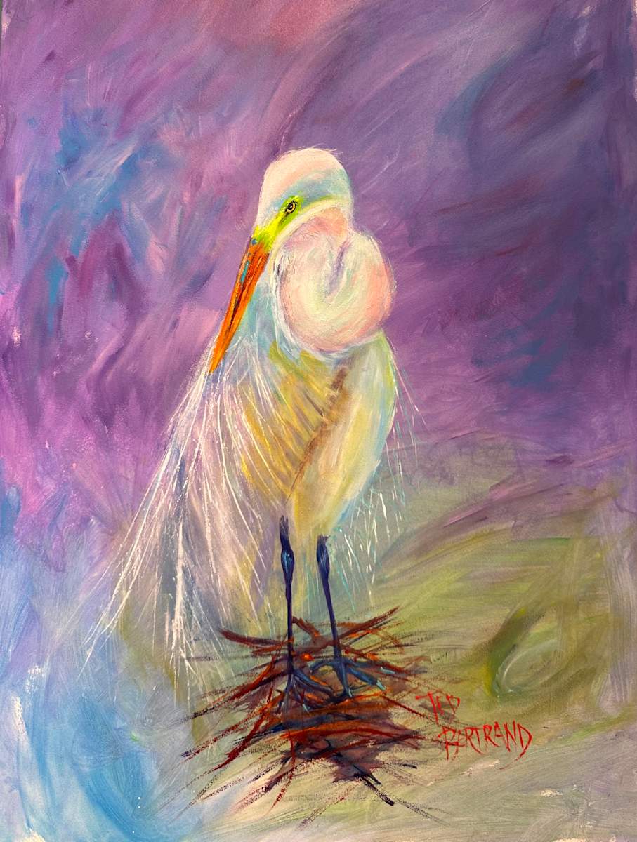 Nesting Snowy by Ted Bertrand, Image 1.