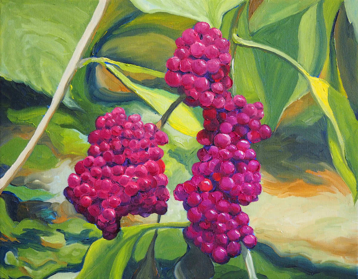 American Beautyberry at the Arboretum by Claire Dawkins 