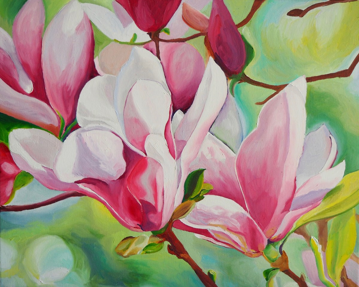 Japanese Magnolias by Claire Dawkins 