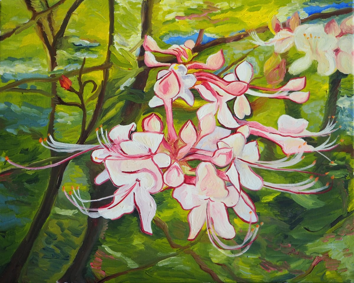 Wild Azalea at Indian Creek State Recreation Area; by Claire Dawkins, Image 4.