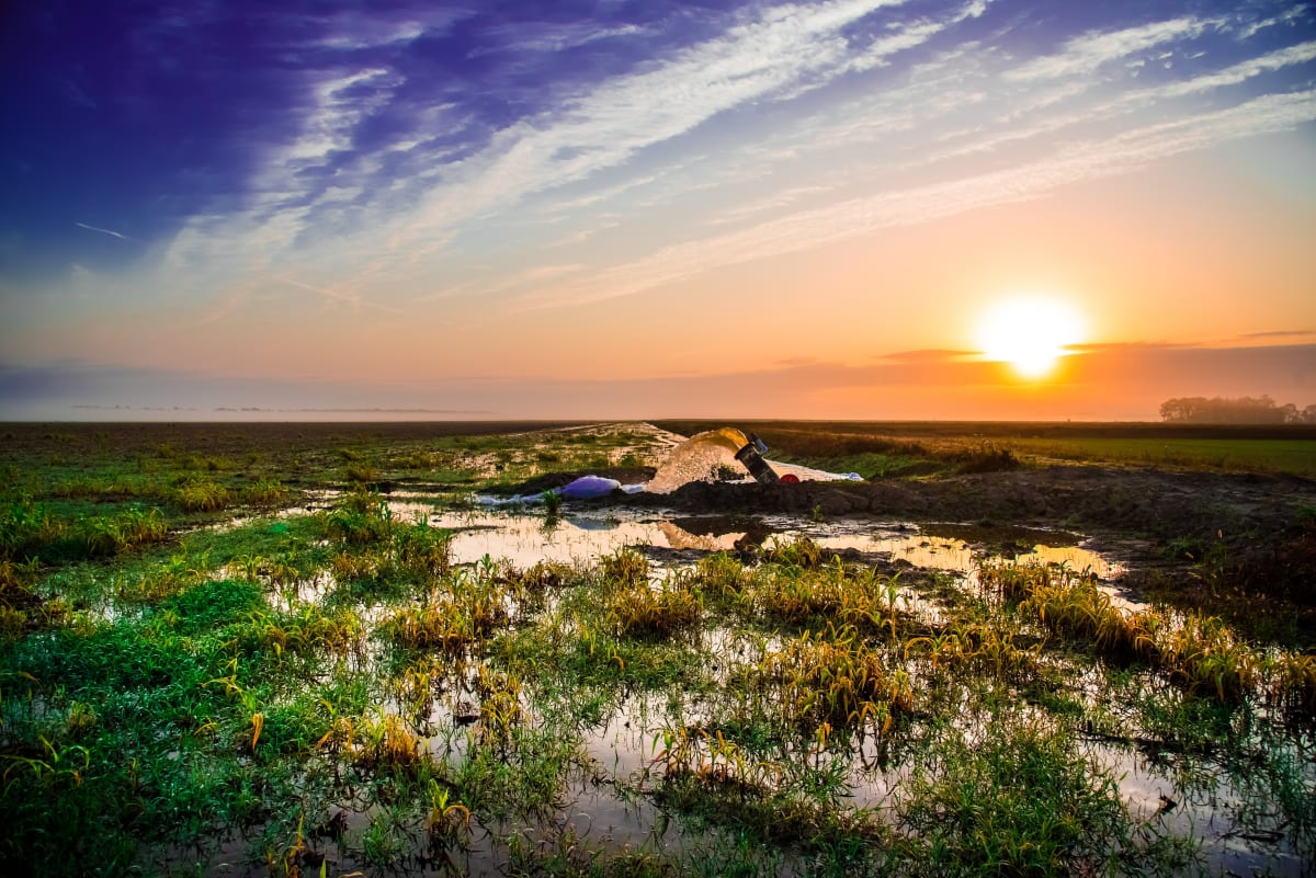 Crawfish Pond Flooding by Bach Prados 