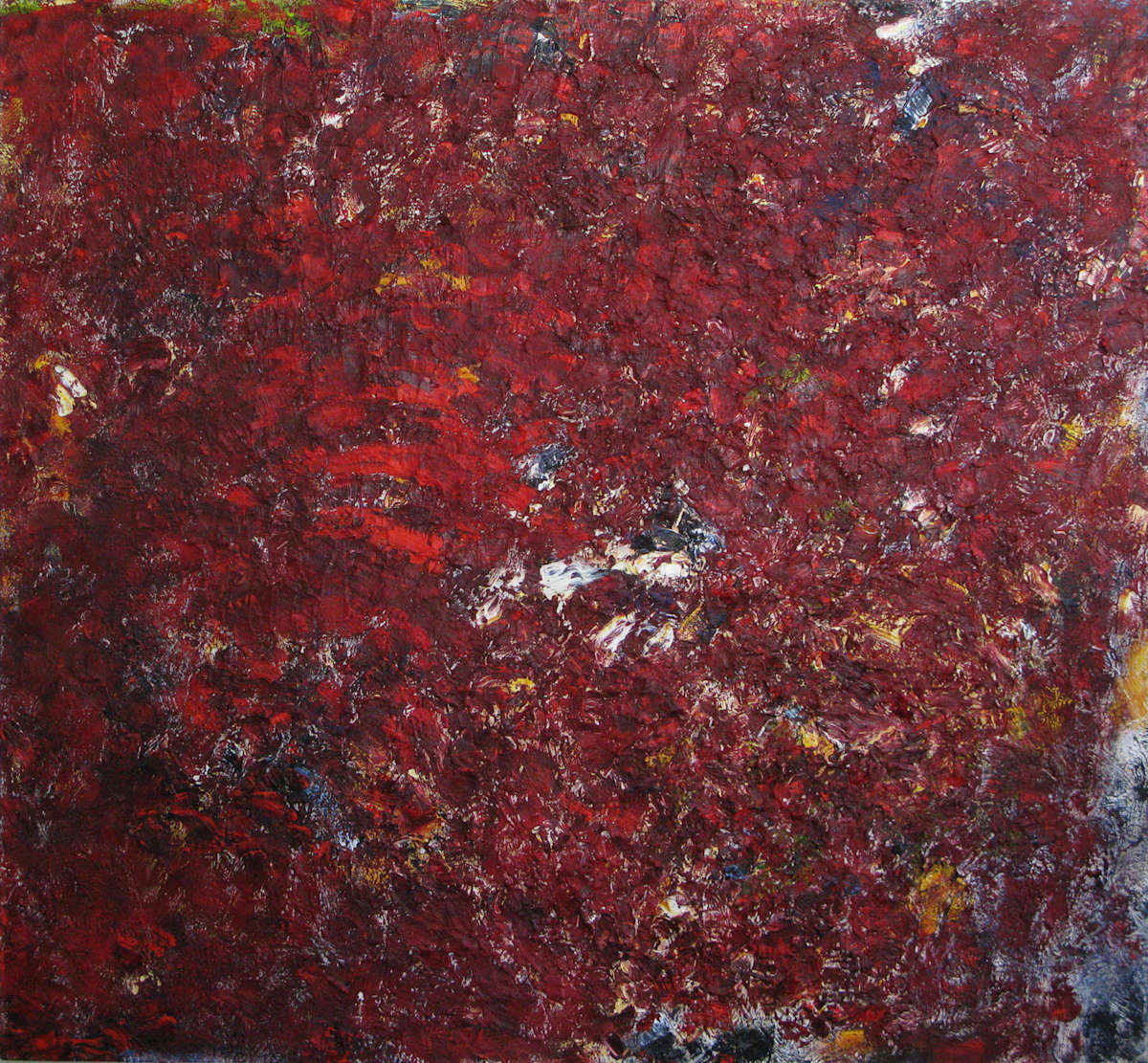 Cardinal by John Hathorn 