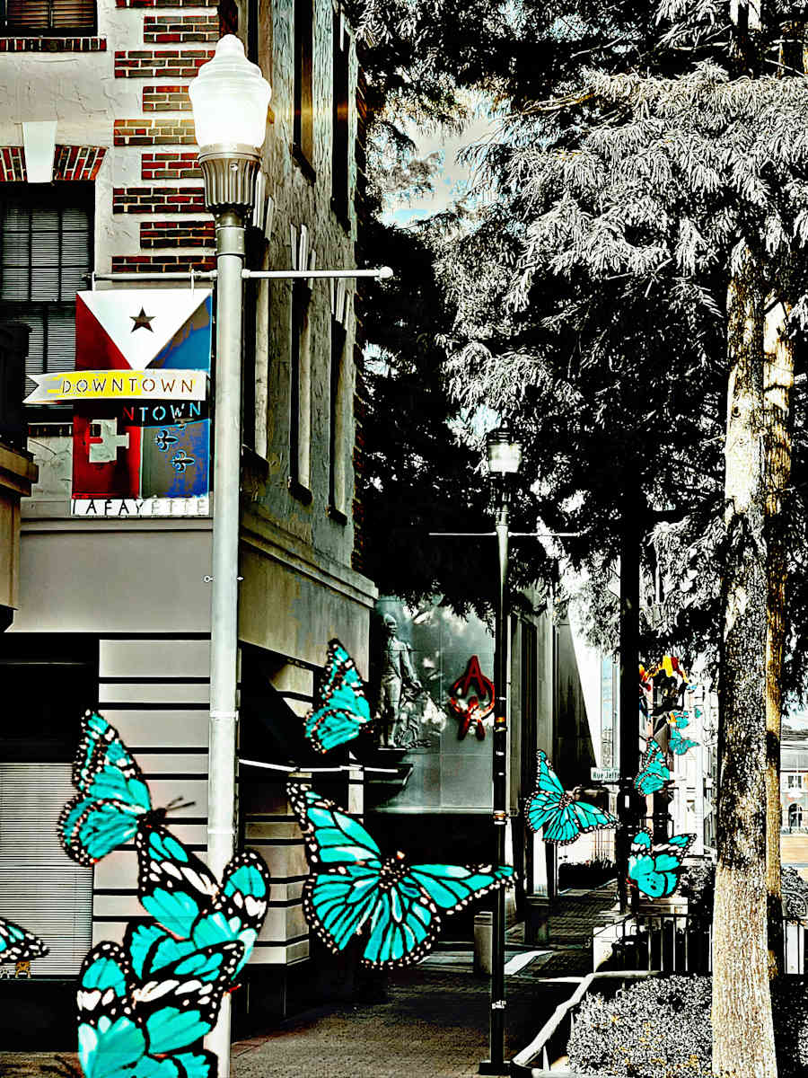 Butterfly Parade by Kelly Nelson 