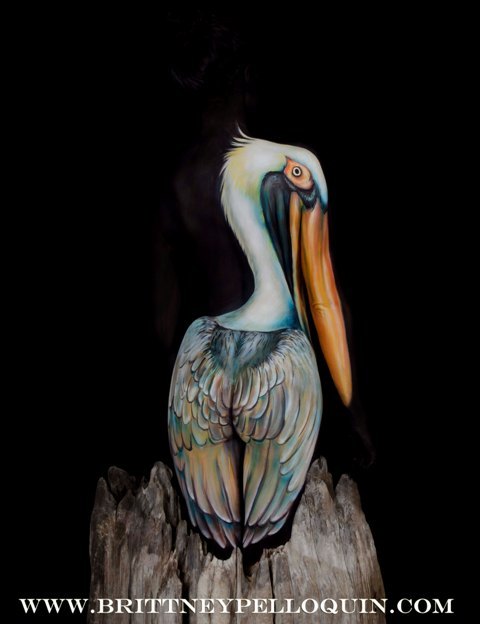 The Pelican by Brittney Pelloquin 