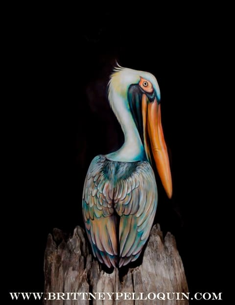 The Pelican by Brittney Pelloquin, Image 1.