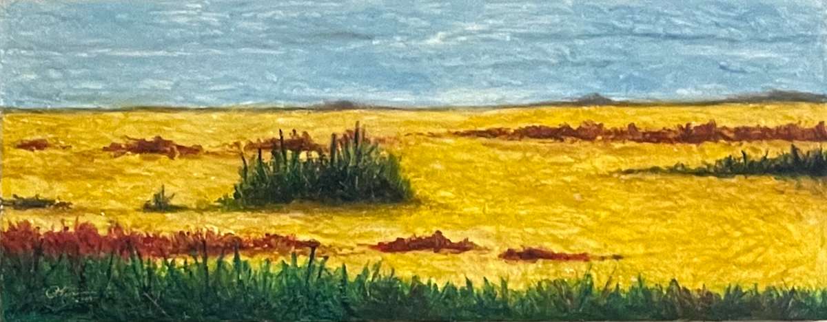 Cheyenne Bottoms by Phyllis Lear, Image 2.