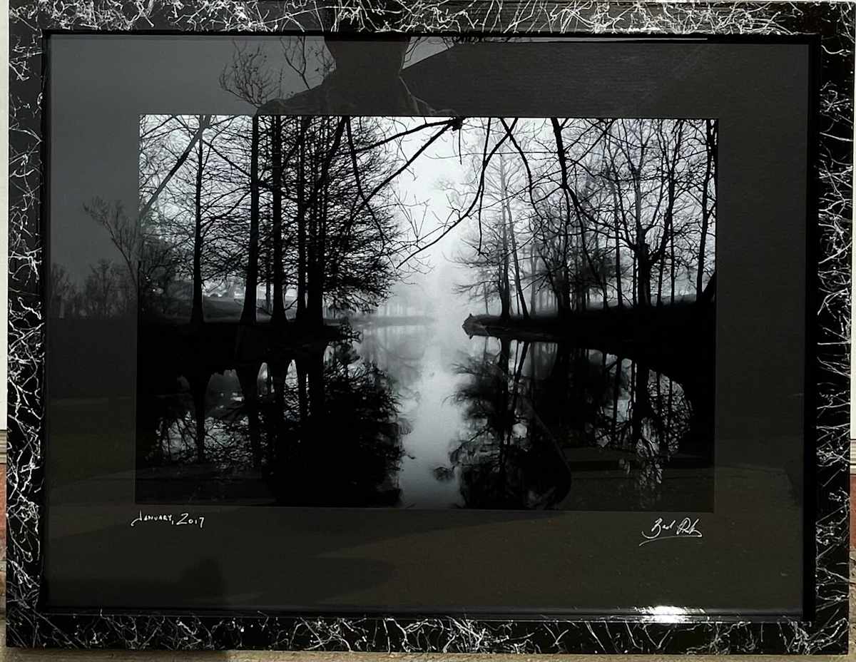 Black & Grey Bayou by Bach Prados 