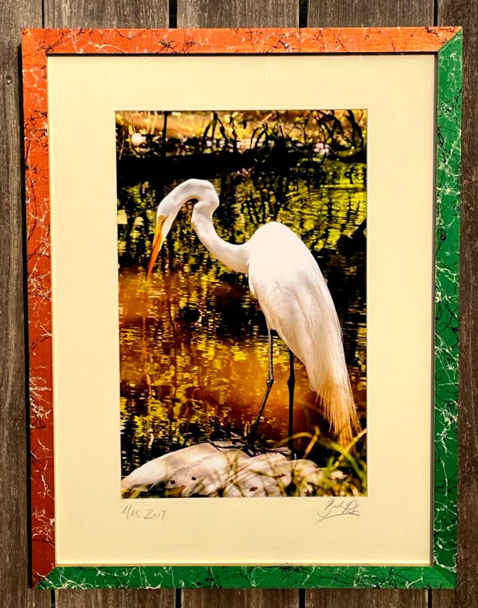 Egret by Bach Prados 