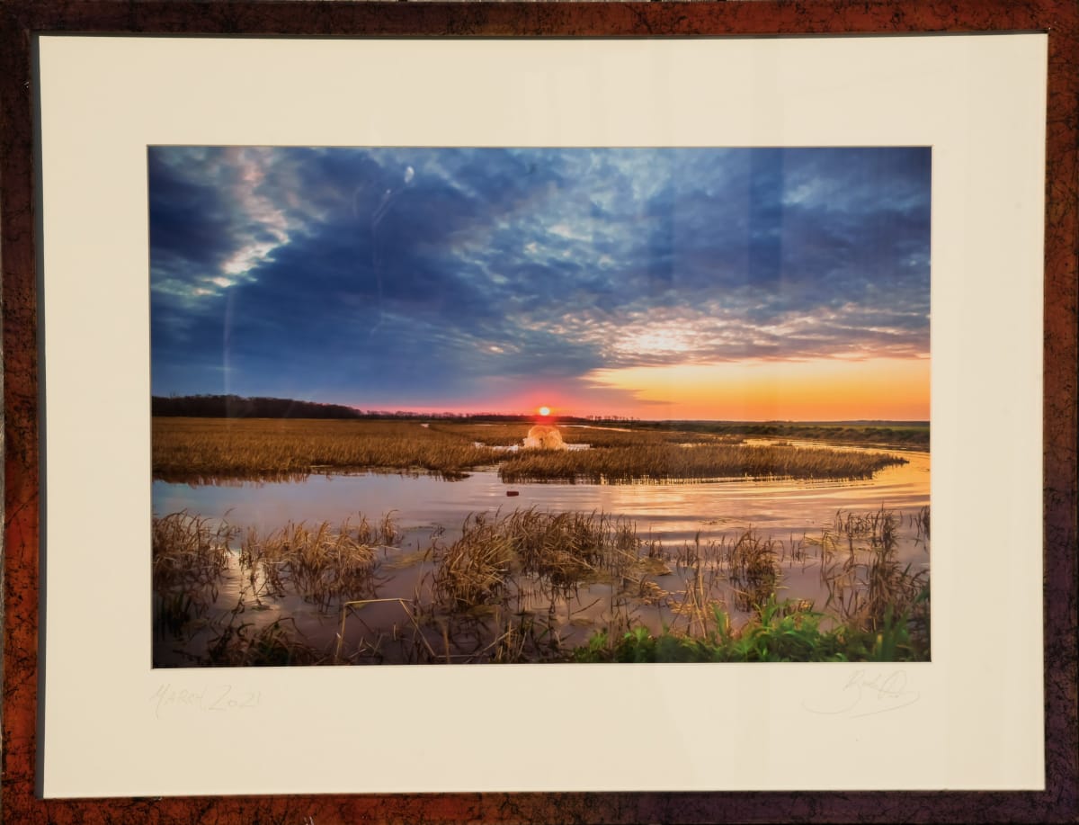 Crawfish Pond Flooding by Bach Prados 