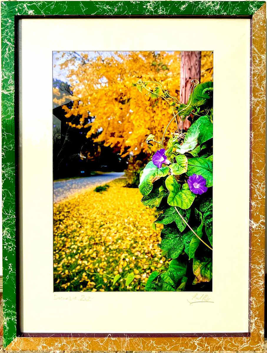Purple, Gold & Green by Bach Prados 