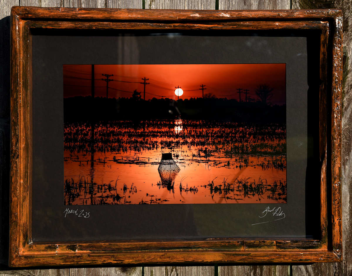 Halloween In March by Bach Prados 