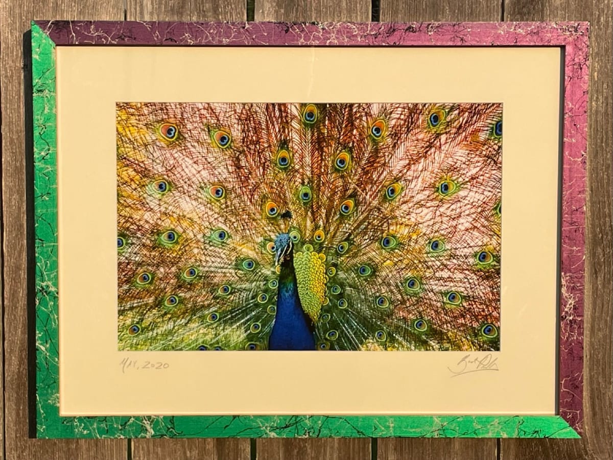 Peacock by Bach Prados 